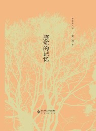 感觉的记忆