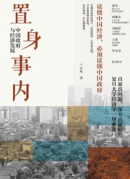 置身事内