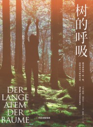 树的呼吸