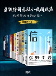 磨铁畅销悬疑小说精选集(套装共11册)
