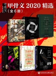 甲骨文2020精选(全6册) (甲骨文系列)