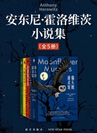 安东尼·霍洛维茨小说集(全5册)