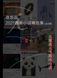 理想国2021最新小说精选集(全9册)