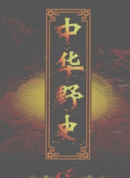中华野史【全12册】