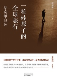 一粒硅原子的全球旅行