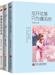 青春系列小说(套书4本)
