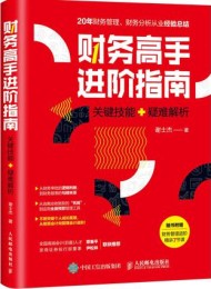 财务高手进阶指南