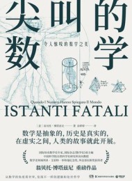 尖叫的数学:令人惊叹的数学之美