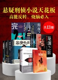 悬疑刑侦小说天花板:高能反转、烧脑必入(共13册)