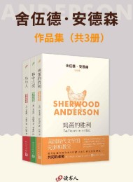 舍伍德·安德森作品集(套装共3册)
