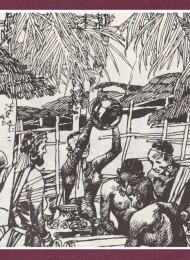 世界探险史(35册)