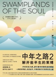 中年之路2:解开前半生的束缚