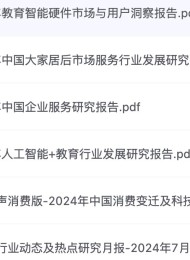 艾瑞咨询研究报告2024年版