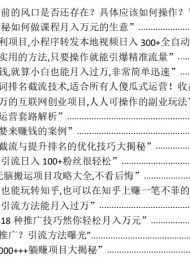 2024年最新450个搞钱玩法