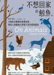 不想回家的鯨魚