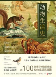 动物生活史