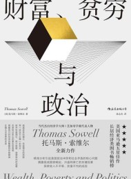 财富、贫穷与政治