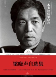 梁晓声自选集