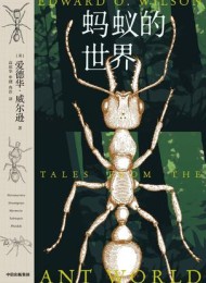 蚂蚁的世界