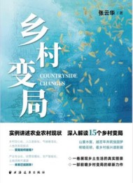 乡村变局