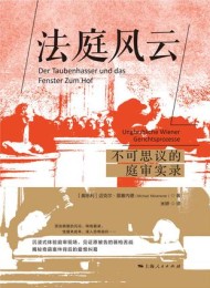 法庭风云:不可思议的庭审实录