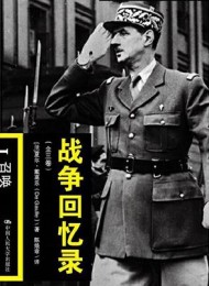 战争回忆录(共3册)