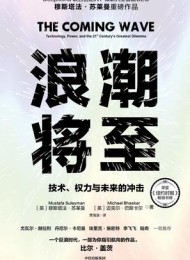 浪潮将至:技术、权力与未来的冲击