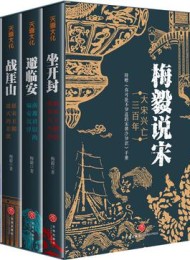 梅毅说宋:大宋兴亡三百年(全四册)
