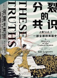分裂的共识:一部全新的美国史(全二册)