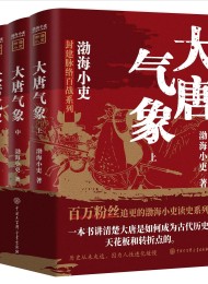 大唐气象(上中下)