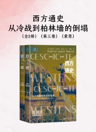 西方通史:从冷战到柏林墙的倒塌(全二册)