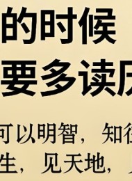 高质量历史类图书合集(495本)