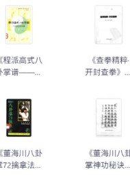 武术类书籍合集