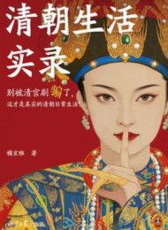清朝生活实录