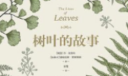 树叶的故事