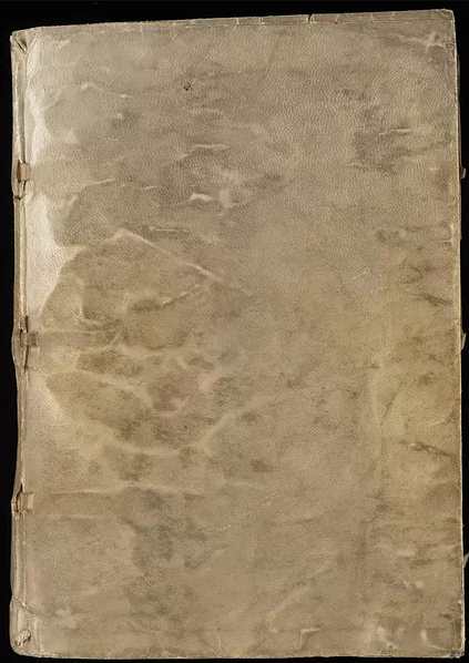 世界上最神秘的书系列：伏尼契手稿