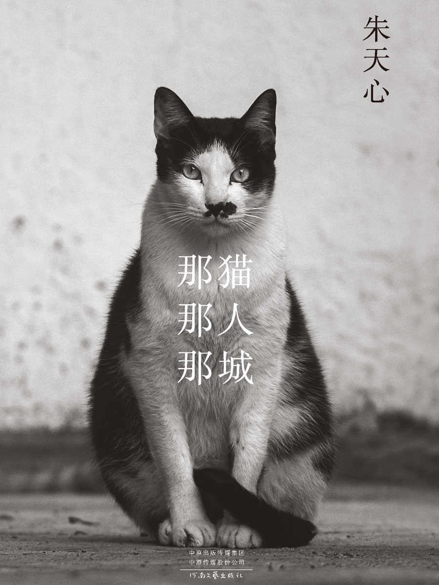 那猫那人那城