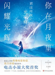 你在月夜里闪耀光辉 你在月夜里闪耀光辉