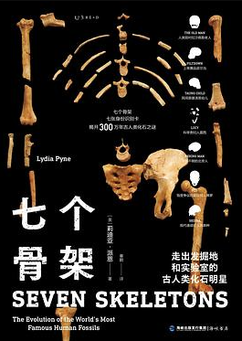 七个骨架 七个骨架