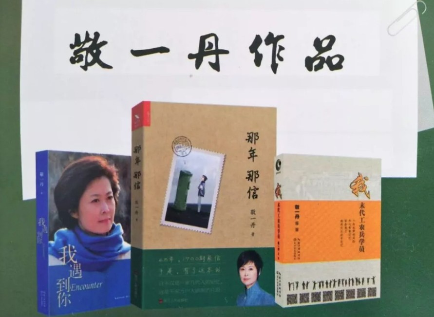 敬一丹图书作品合集